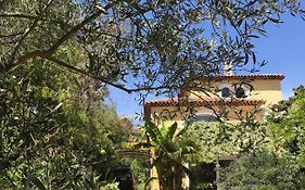 Ecrin De Verdure Avec Acces Piscine En Plein Aix